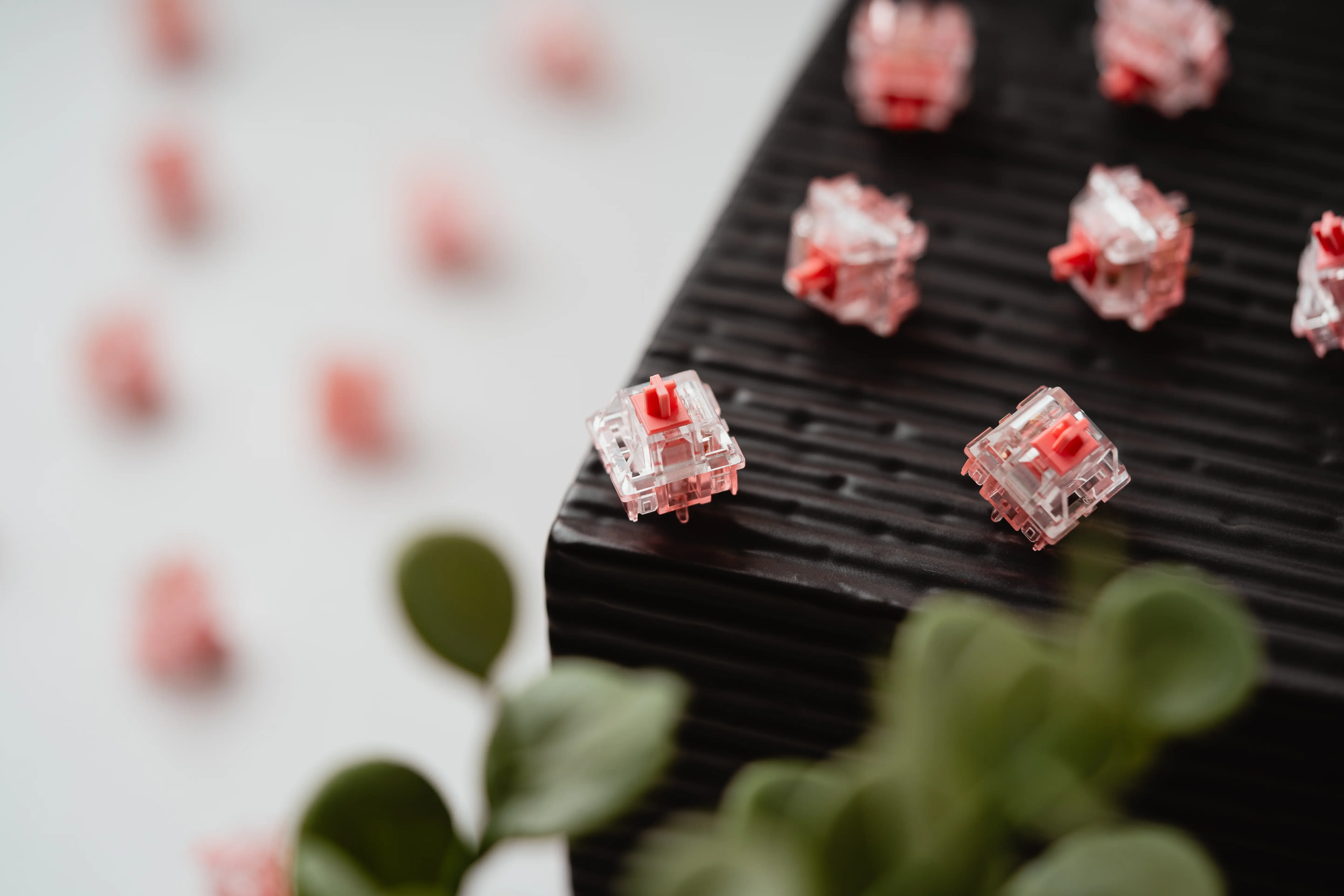 KTT Strawberry v2 switches