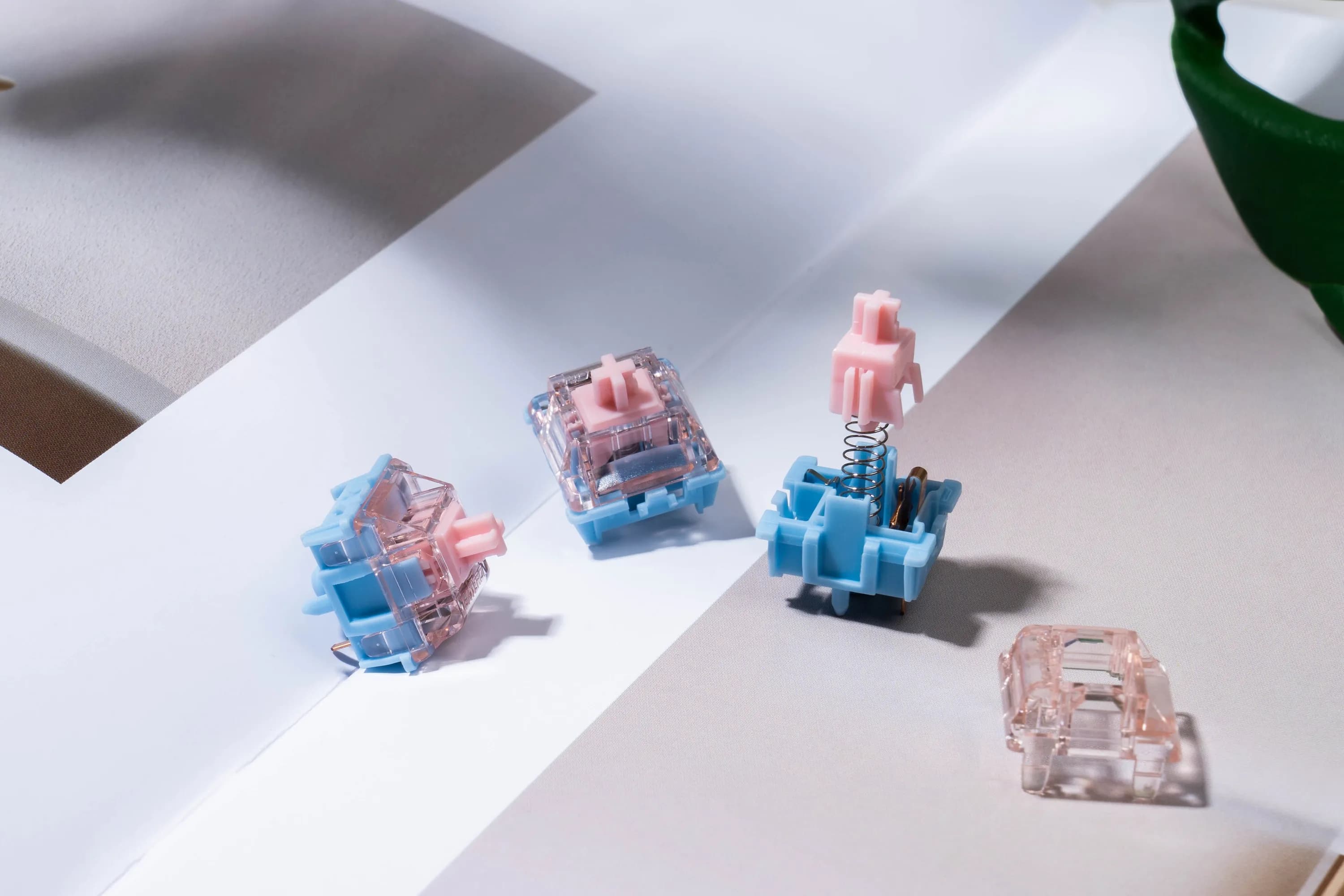 Gateron Melodic